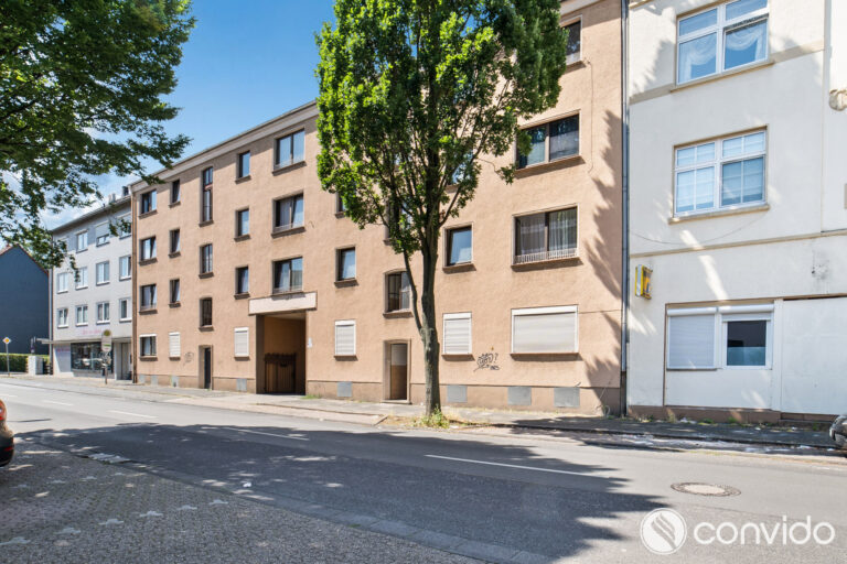 backbone_83719_105_HD